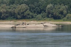 Дунав се покачва, но опасността остава: Баржа заседна край остров Батин