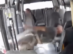 (ВИДЕО) Моторист излетя през отворена врата на автобус след зверски удар