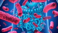 Пробив на Mayo Clinic: Чревният микробиом разкрива скрити знаци за пет вида рак