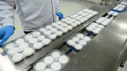 Българско мочи превзе света: Как &bdquo;Корте Дилето&ldquo; превърна мочи в международен хит