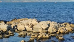 Проби от морето край Калиакра след атаката с морски дронове: Търсят следи от замърсяване