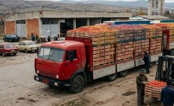 БАБХ спря над 370 тона храни на границата: Домати, мандарини и пипер с пестициди