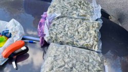 Нова акция в Бобов дол: Открити чували с дрога в нает имот