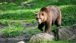 WWF България: важни предупреждения за безопасност на Витоша