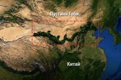 &bdquo;Великата зелена стена&ldquo; на Китай напредва: 66 милиарда дървета срещу настъпващите пустини