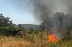 Пожар край АМ &bdquo;Хемус&ldquo; до Брестница след катастрофа между два автомобила