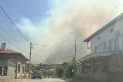 (ВИДЕО) Частично бедствено положение в Хасковско заради пожар, обхванал 10 000 декара